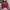 Abercrombie & Fitch Minimalist Hoody Pria red photo 1