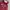 Abercrombie & Fitch Minimalist Hoody Pria red photo 2
