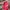 Vintage Streetwear Hat Wanita pink photo 3
