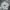 Streetwear Sportswear Sweatshirt Pria gray photo 1