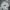 Streetwear Sportswear Sweatshirt Pria Gray