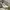 Nike Streetwear Sportswear Sneakers Wanita white black photo 1