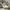 Nike Streetwear Sportswear Sneakers Wanita White Black