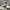 Nike Streetwear Sportswear Sneakers Wanita white black photo 3