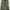 Streetwear Minimalist Vest Wanita green photo 1