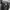 Adidas Sportswear Windbreaker Pria black gray photo 2