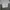 Minimalist Crop top Wanita gray photo 1