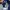Levi's Casual Jeans Pria navy photo 8