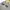 Daisy Lovers Vintage Y2K Hoody Wanita gray photo 2