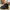 Dr. Martens Streetwear Casual Boots Pria black photo 6