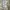 Carhartt Streetwear Y2K Short Pria tan photo 8