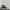 Converse Goth Sneakers Pria white black photo 1