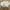 Coquette Trench coat Wanita white photo 3