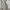 Casual Harrington jacket Pria white photo 2