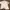 Engineered Garments Streetwear Casual Polo shirt Pria white gray photo 1