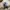 Rick Owens Luxury Sneakers Pria white black photo 7