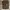 Uniqlo Luxury Minimalist Formal shirt Pria brown photo 1