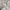 St John's Bay Streetwear Casual Harrington jacket Pria cream photo 5