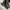 Nike Avant Garde Sneakers Pria black photo 2