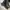 Nike Avant Garde Sneakers Pria Black