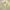 Japanese brand Vintage Casual Harrington jacket Pria cream photo 1