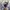 Stussy Streetwear Y2K Formal shirt Pria white gray photo 4