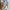Stussy Streetwear Y2K Formal shirt Pria white gray photo 7