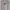 Casual Sweater Pria gray photo 1
