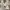 Guess Minimalist Casual Crop top Wanita white photo 1