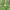 Florence & Fred Minimalist Casual Hoody Pria green photo 1