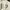 Stradivarius Coquette Prom dress Wanita white photo 1