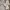 ZARA Casual Hoody Pria white photo 1
