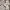 ZARA Casual Hoody Pria White