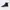 Luxury Sneakers Pria Green Black