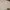 Zegna Luxury Casual Casual shirt Pria multicolor photo 6