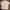 Zegna Luxury Casual Casual shirt Pria multicolor photo 1