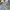 Wrangler Streetwear Casual Denim jacket Pria gray photo 4
