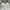 Grunge Coquette Nightgown Wanita white black photo 2