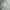 Grunge Coquette Nightgown Wanita white black photo 3