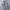 Japanese brand Casual Hoody Pria gray photo 1
