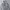 Japanese Brand Casual Hoody Pria Gray
