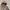 National Geographic Streetwear Minimalist Fleece Pria tan photo 3