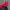 Vintage Sportswear Windbreaker Pria red black photo 6