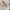 Japanese brand Vintage Streetwear Denim jacket Pria tan photo 5