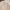 Japanese brand Vintage Streetwear Denim jacket Pria tan photo 2