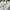 Vintage Pria cream photo 8