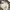 Streetwear Casual Casual pants Pria khaki photo 8