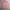 Polo Ralph Lauren Streetwear Luxury Cardigan Wanita pink photo 1