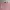 Polo Ralph Lauren Streetwear Luxury Cardigan Wanita pink photo 4