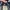 VANS Streetwear Casual Casual shoe Pria black photo 1